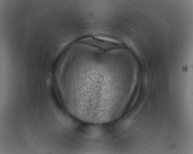 X0000092300071200709281335