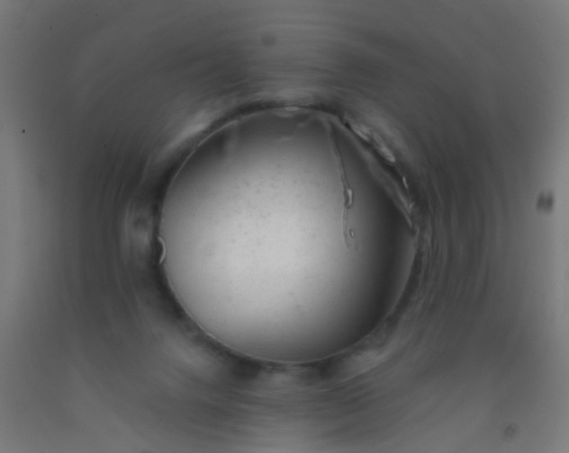 X0000092300072200709281335