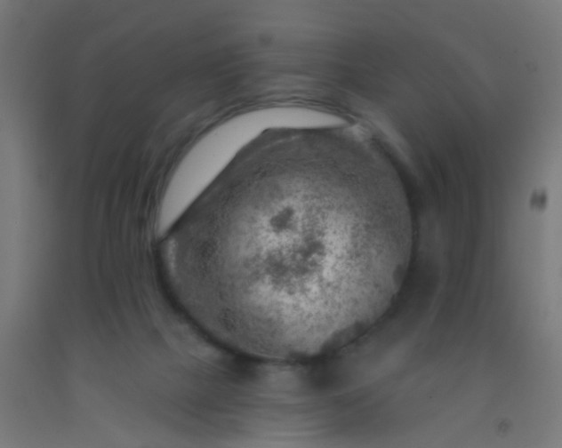 X0000092300073200709281335