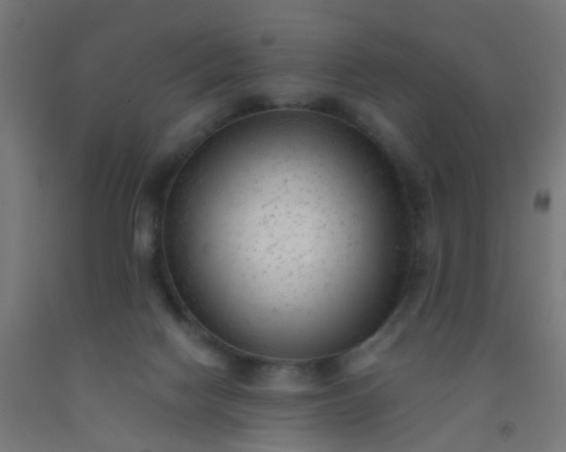 X0000092300074200709281335