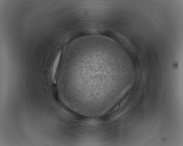 X0000092300075200709281335