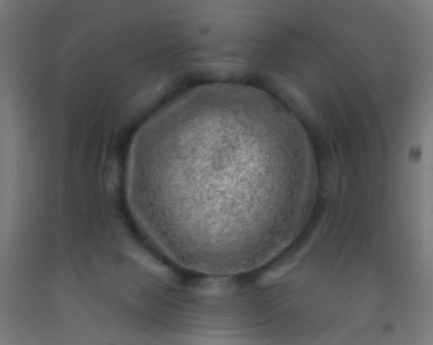 X0000092300077200709281335