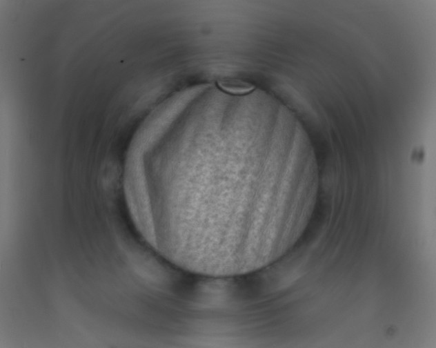 X0000092300079200709281335