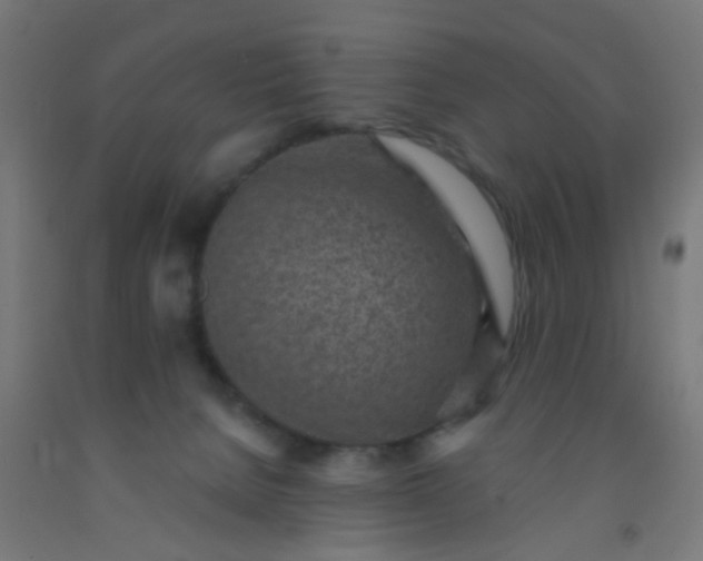 X0000092300080200709281335