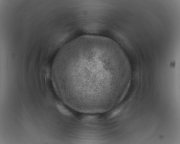 X0000092300081200709281335