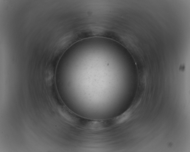 X0000092300082200709281335