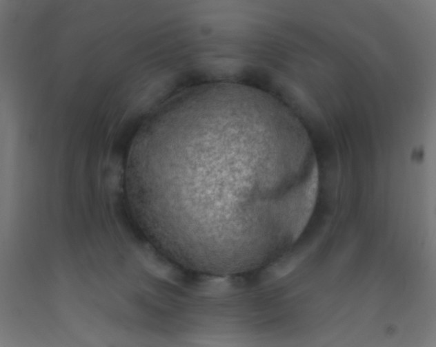 X0000092300083200709281335