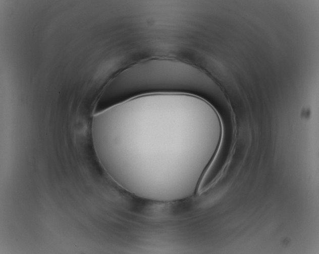 X0000092300084200709281335