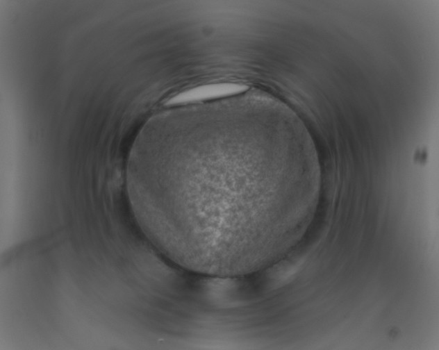 X0000092300085200709281335