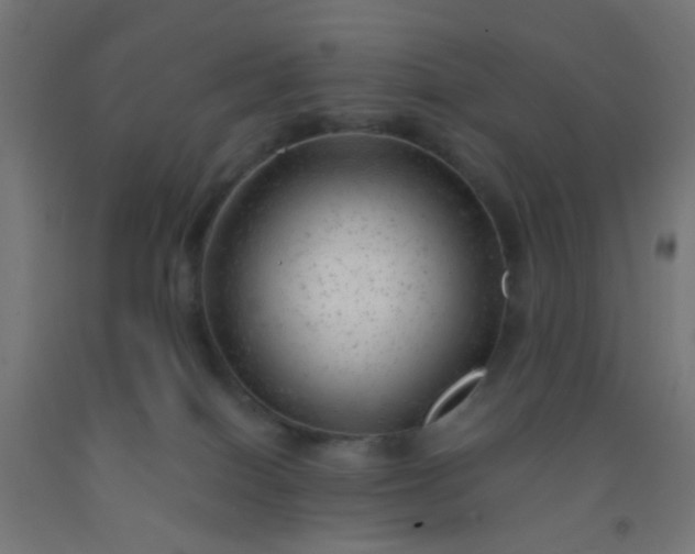 X0000092300086200709281335