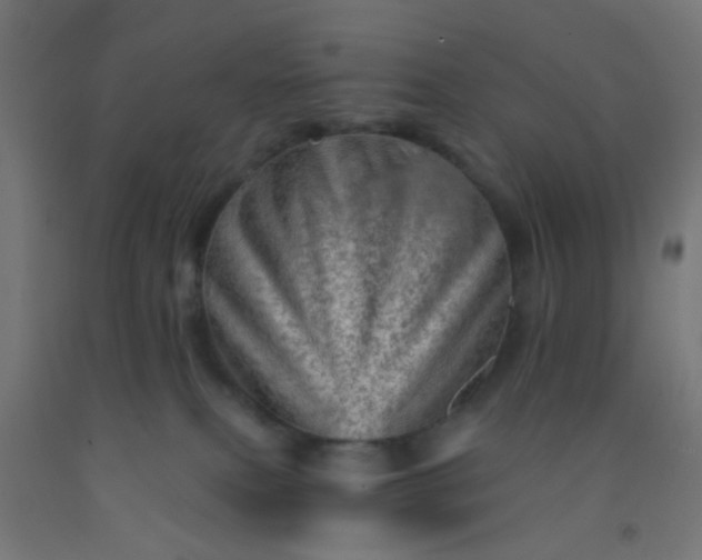 X0000092300087200709281335