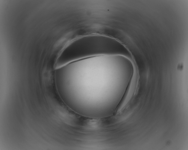 X0000092300088200709281335