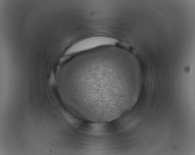 X0000092300089200709281335