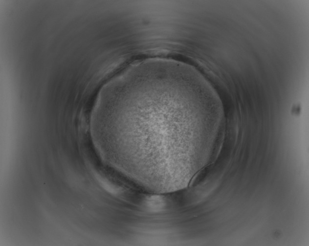 X0000092300091200709281335