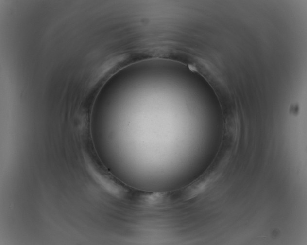 X0000092300092200709281335