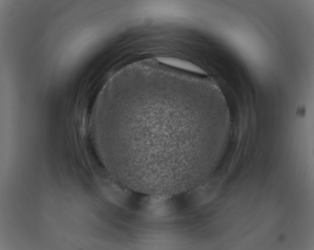 X0000092300093200709281335