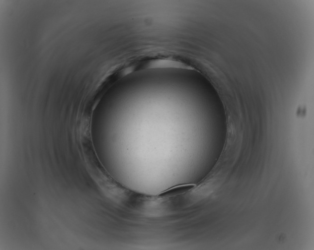 X0000092300096200709281335