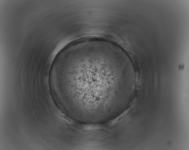 X0000092300099200709281334