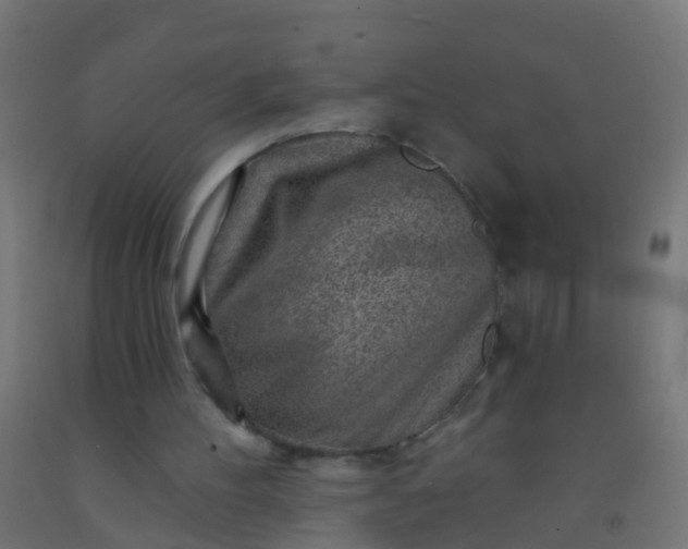 X0000092300100200709281334