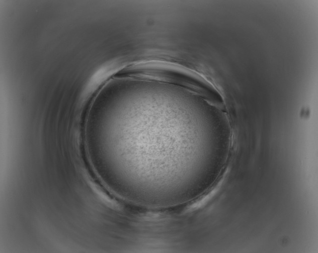 X0000092300101200709281334