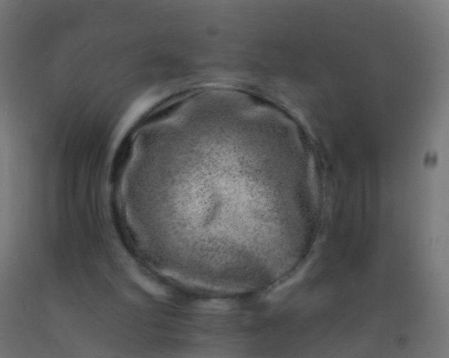 X0000092300102200709281334