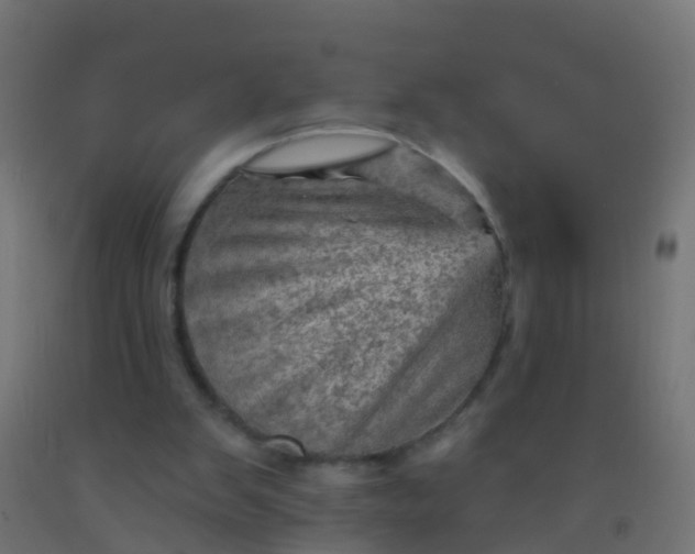 X0000092300103200709281334