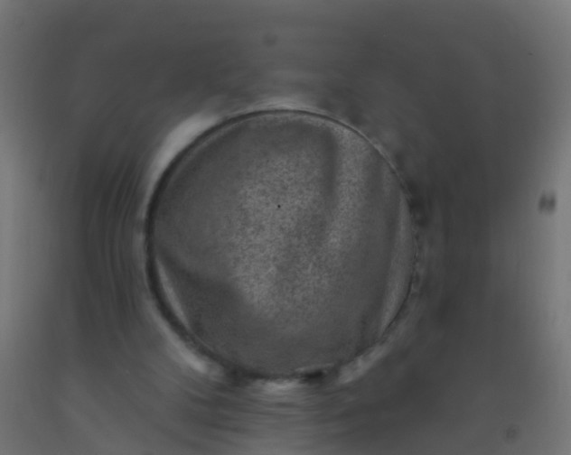 X0000092300104200709281334