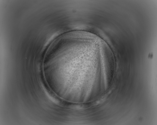 X0000092300106200709281334