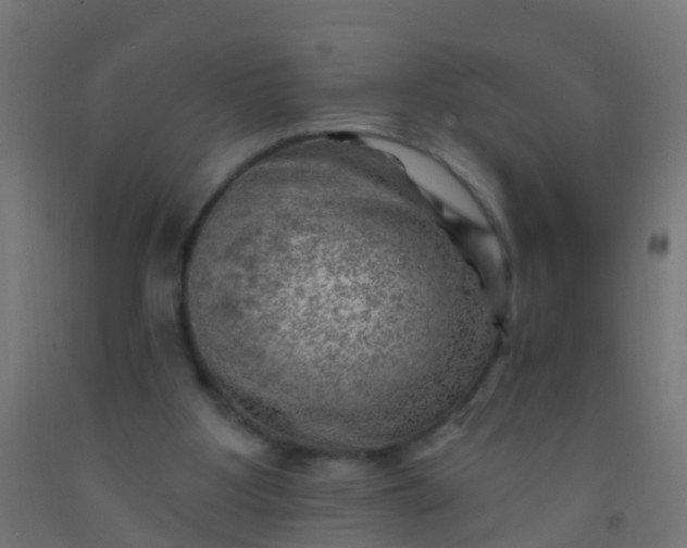 X0000092300107200709281334