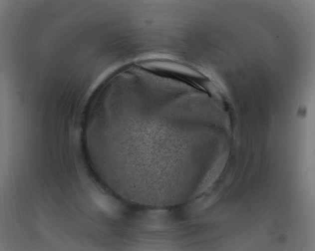 X0000092300108200709281334