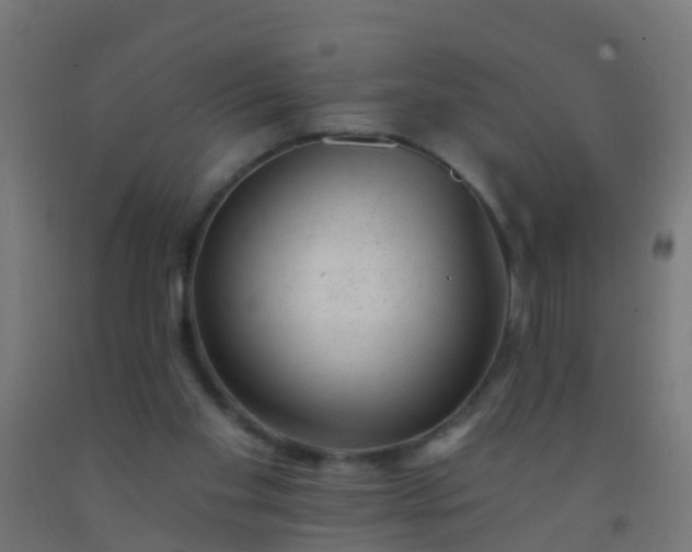 X0000092300109200709281334