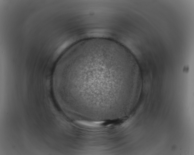 X0000092300111200709281334