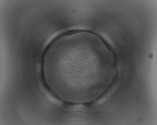 X0000092300112200709281334