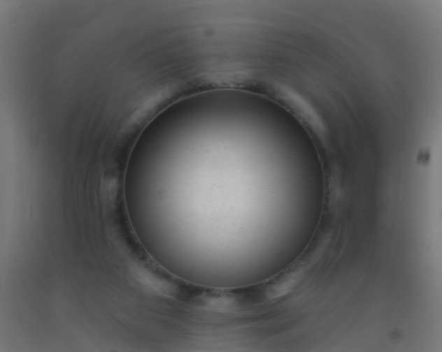 X0000092300113200709281334