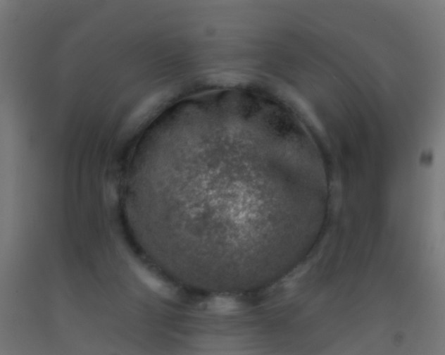 X0000092300114200709281334