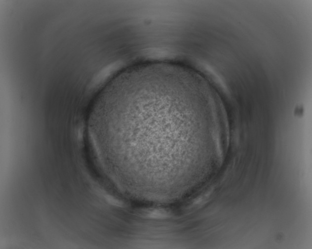 X0000092300115200709281334