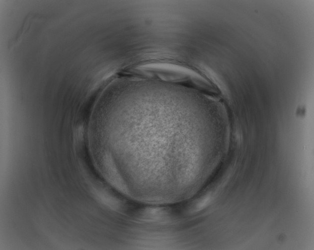 X0000092300117200709281334