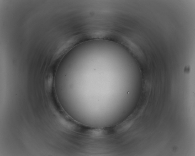 X0000092300118200709281334