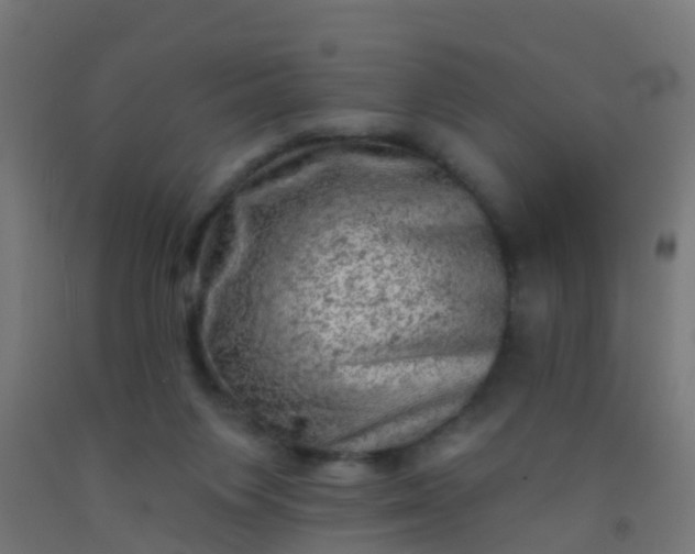 X0000092300119200709281334