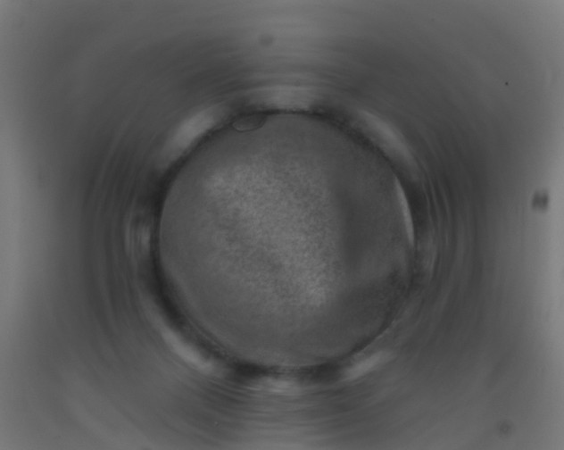 X0000092300120200709281334