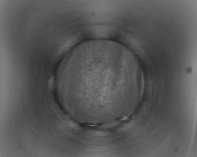 X0000092300123200709281334