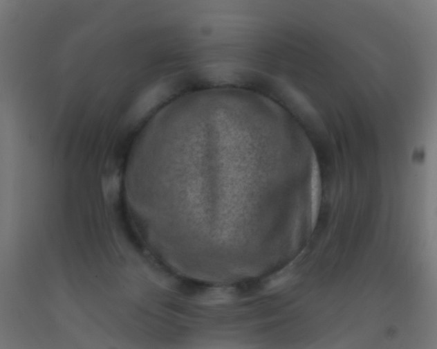 X0000092300124200709281334