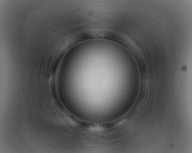 X0000092300125200709281334