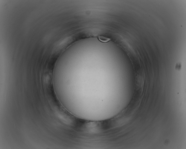 X0000092300126200709281334