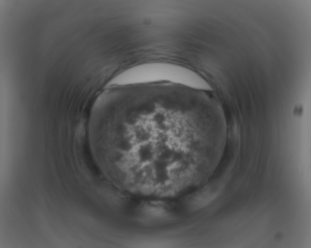 X0000092300127200709281334