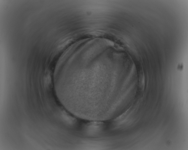 X0000092300128200709281334