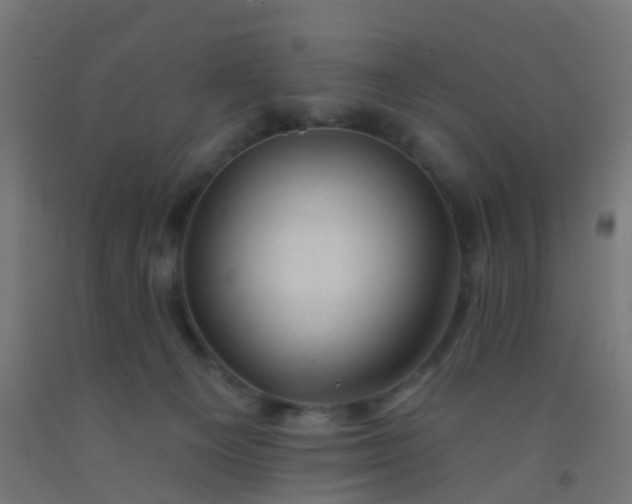 X0000092300129200709281334