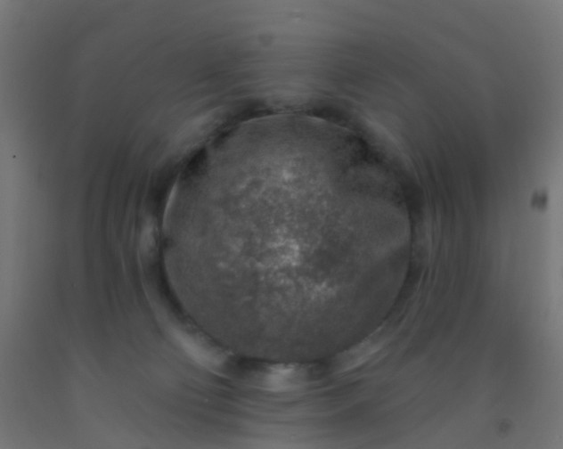 X0000092300130200709281334