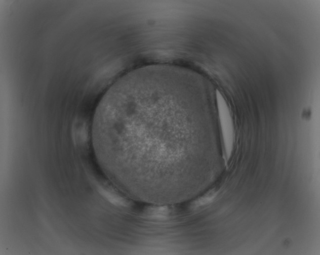 X0000092300131200709281334