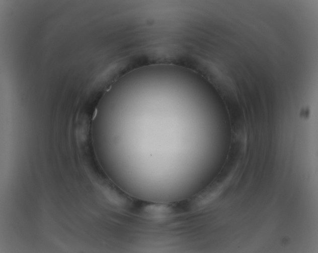 X0000092300133200709281334